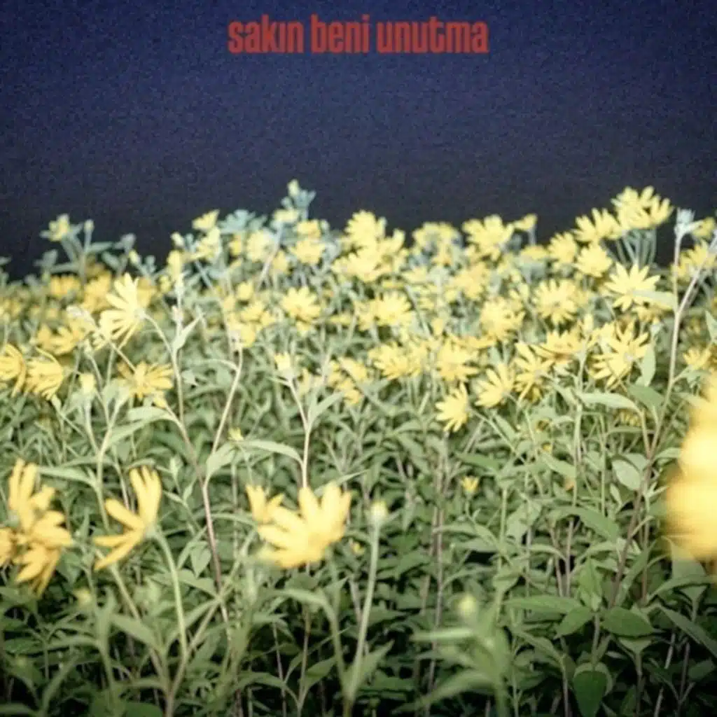 Sakin BENI UNUTMA