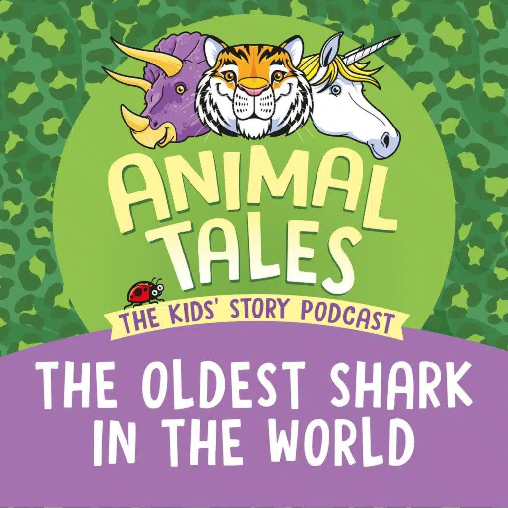 The Oldest Shark In The World
