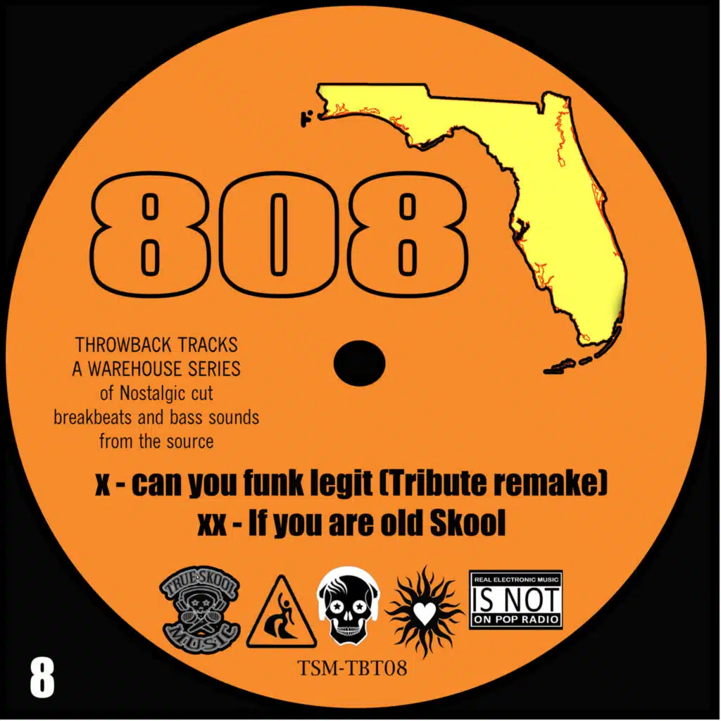 DJ Skynet & SKYNET the 808 disciple