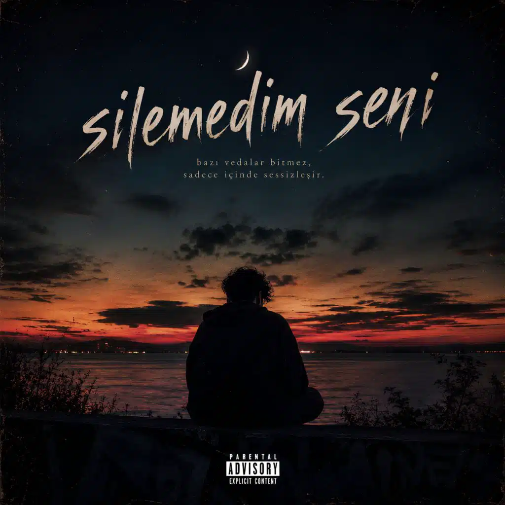 Seni Silemedim