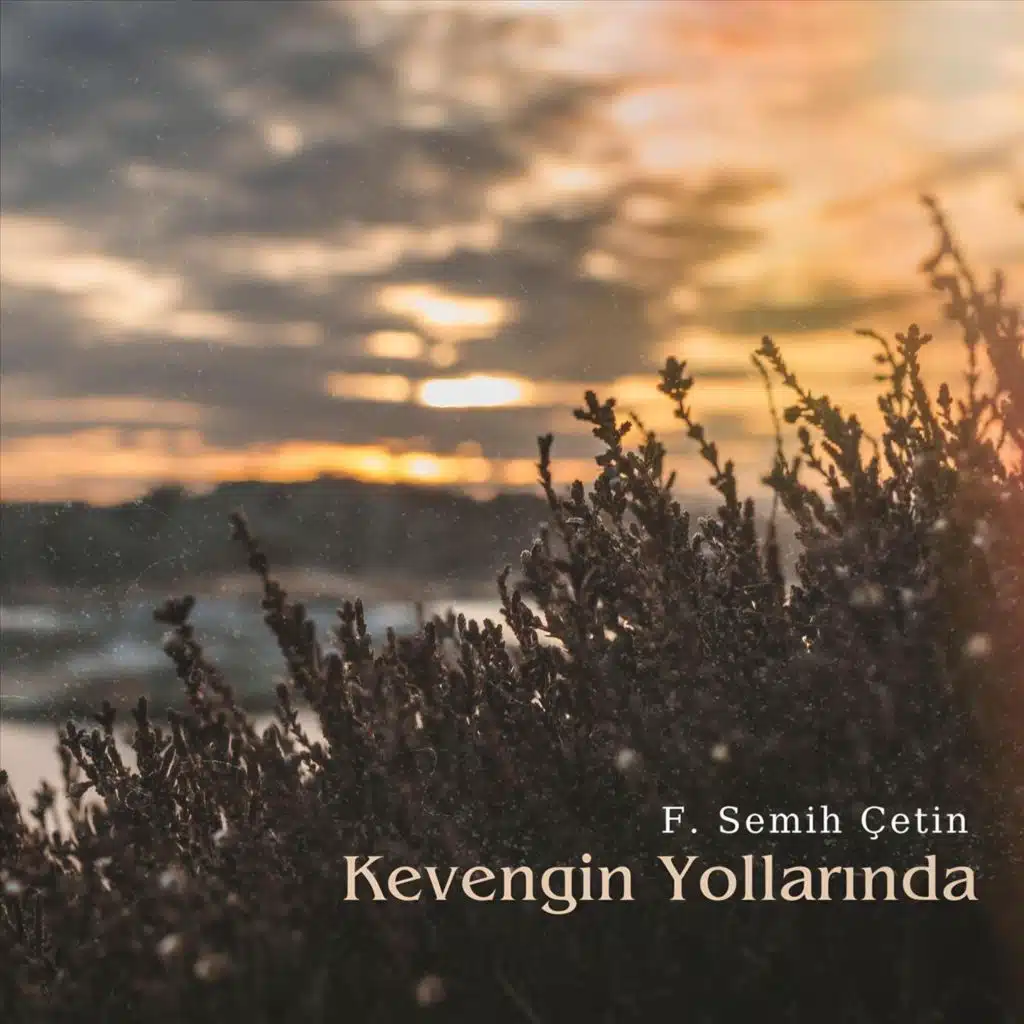 F. Semih Çetin