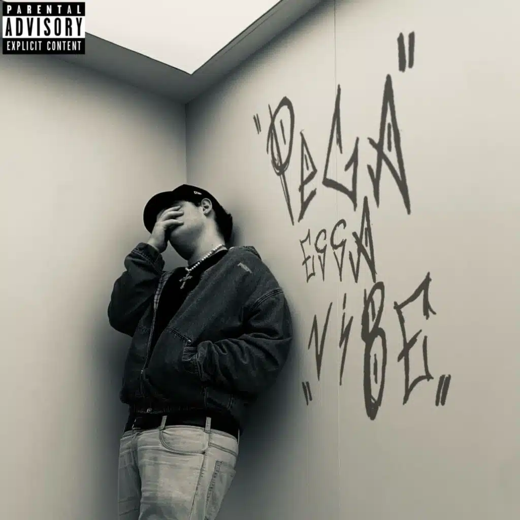Pega Essa Vibe Mixtape
