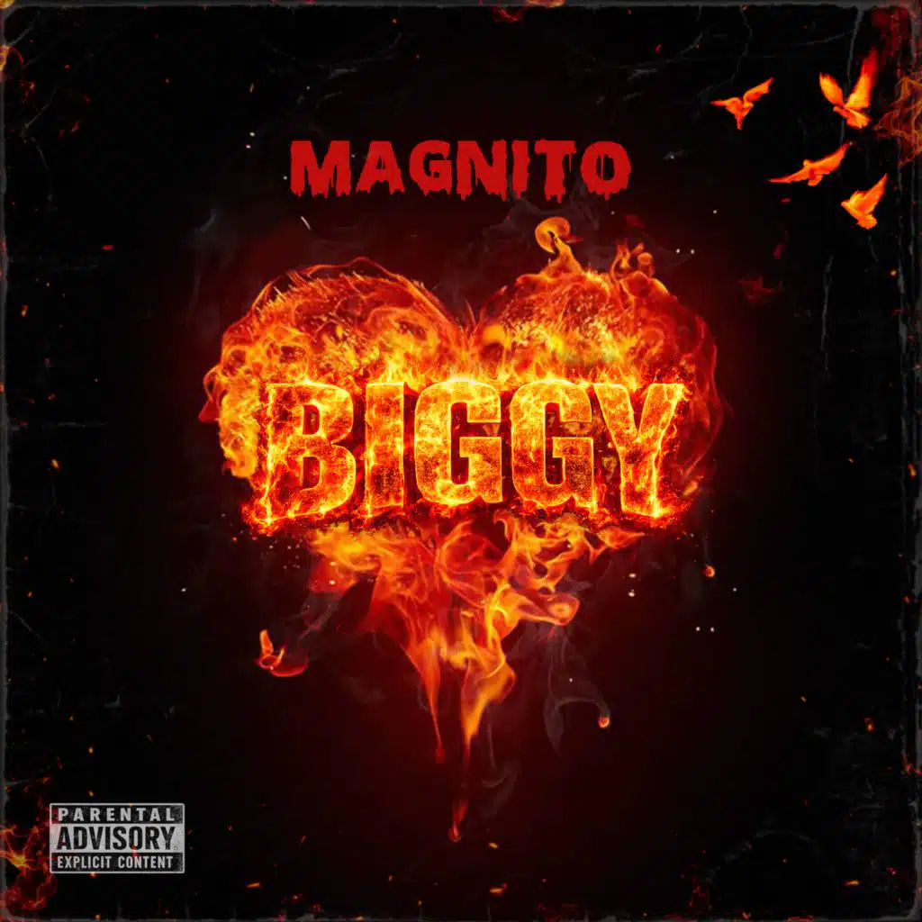 Magnito