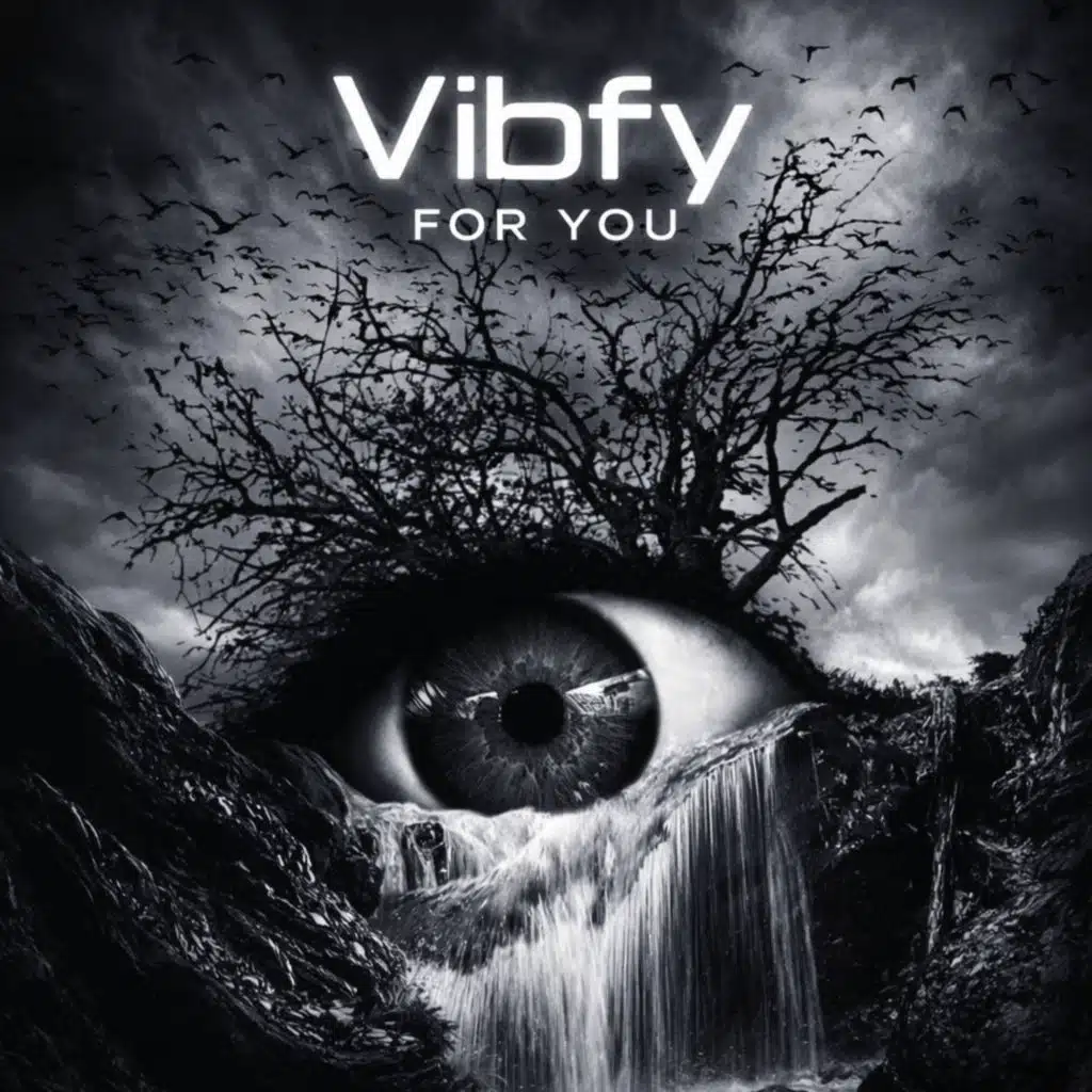 Vibfy