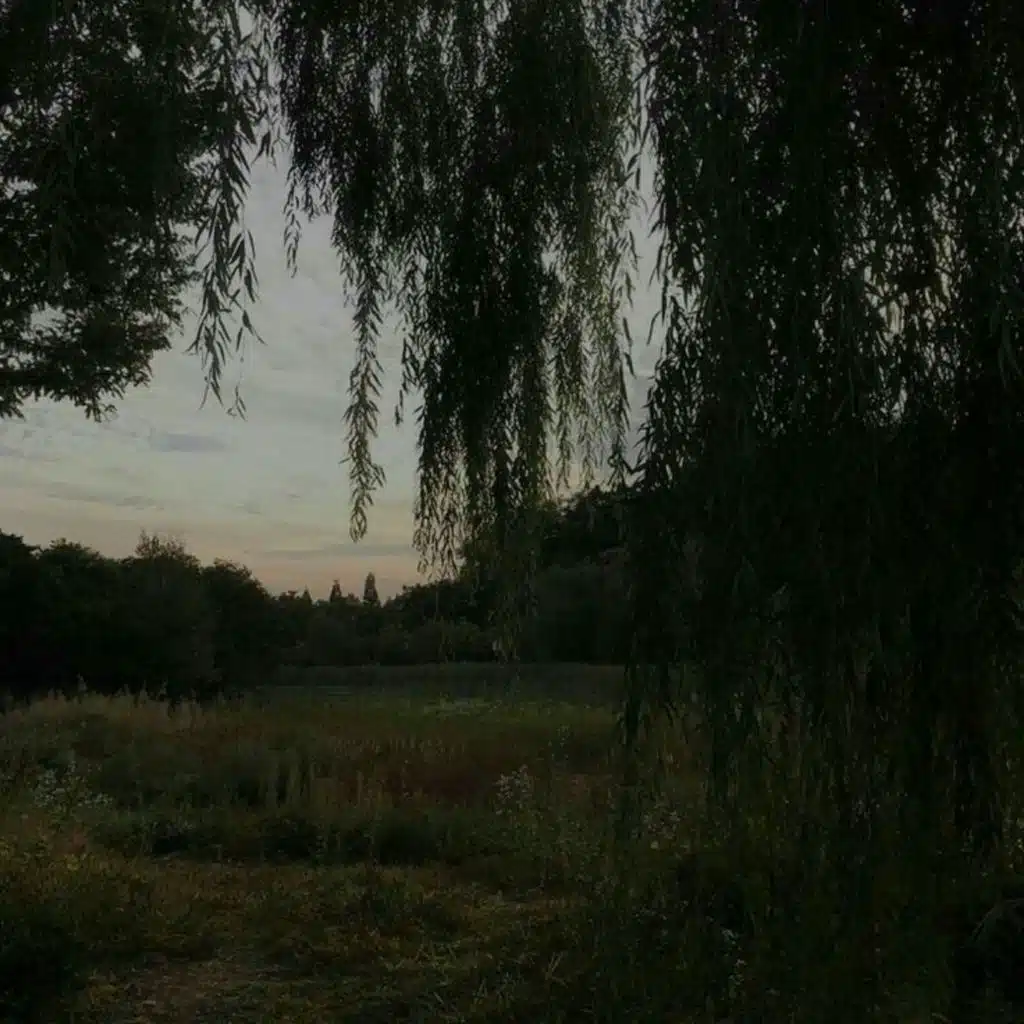 Apocalypse