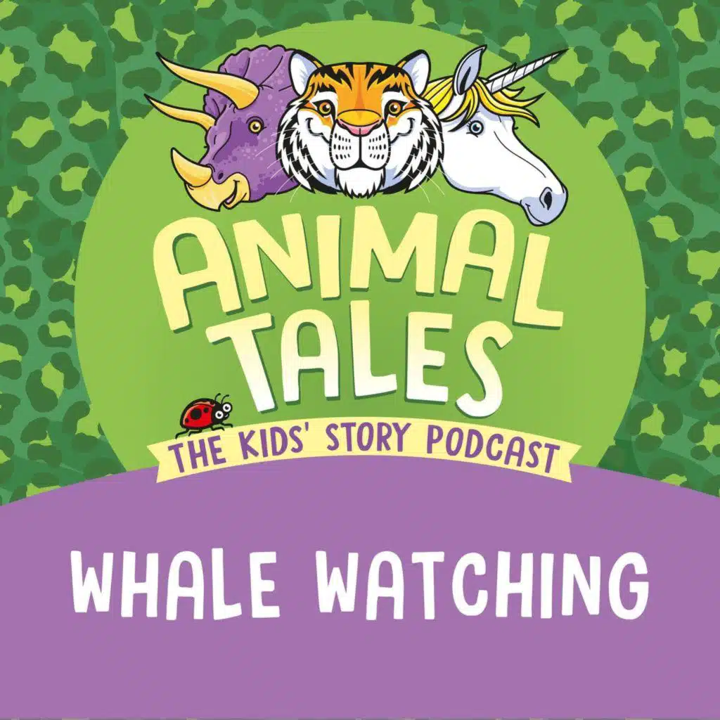 Whale Watching