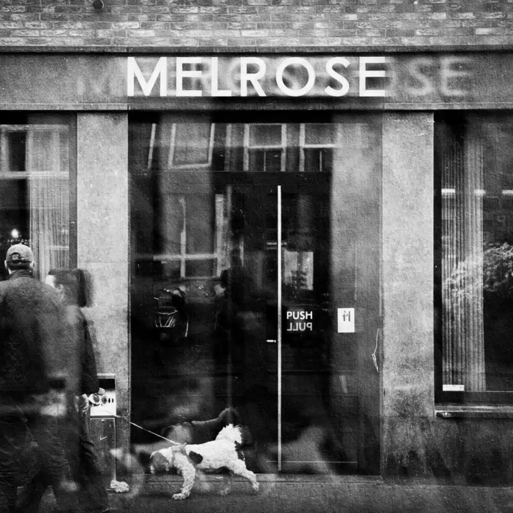 Melrose