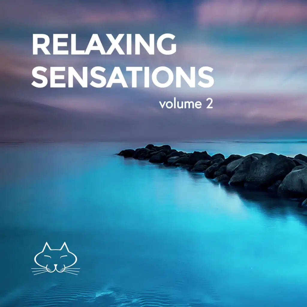 Relaxing Sensations, Vol. 2