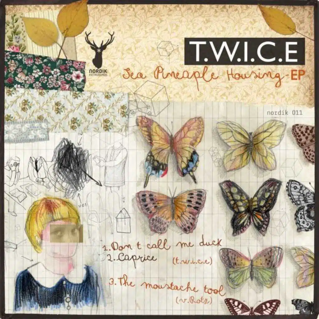 Sea Pineapple Housing