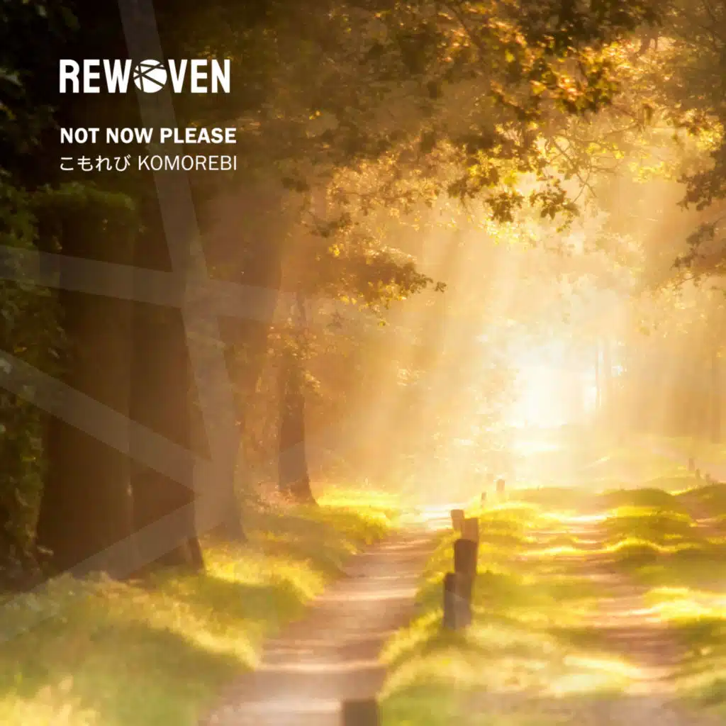 Not Now Please