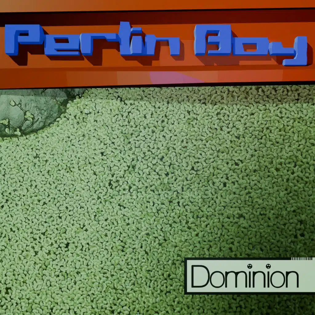 Perlin Boy