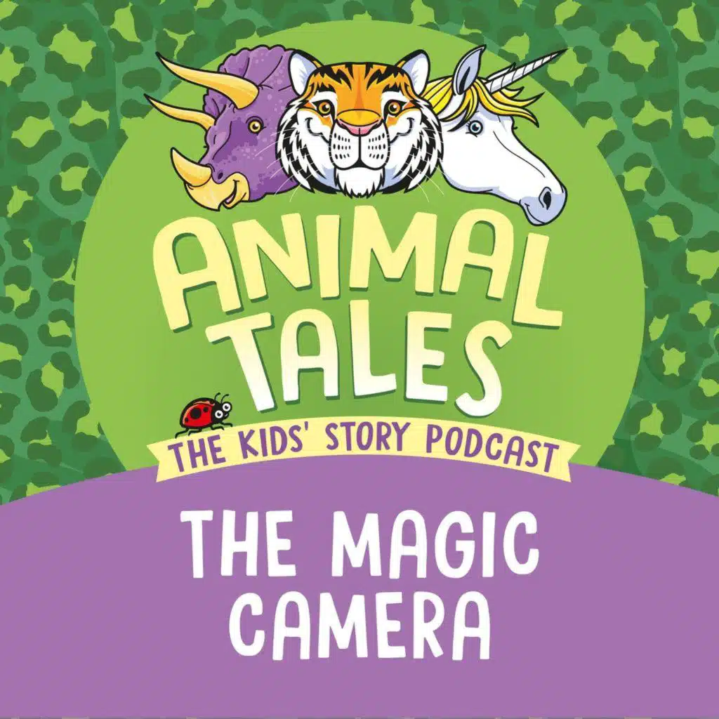 The Magic Camera