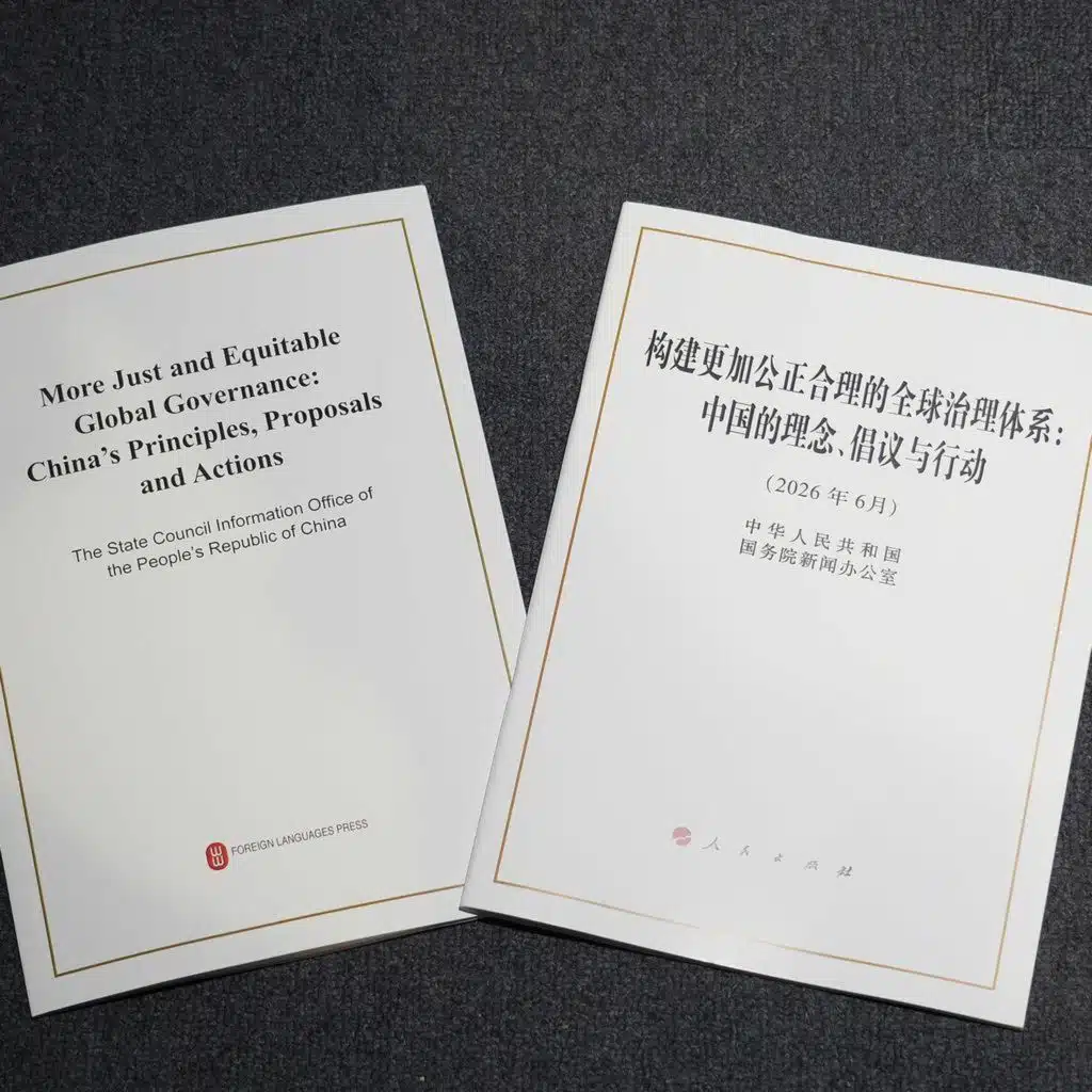 China releases white paper on global governance