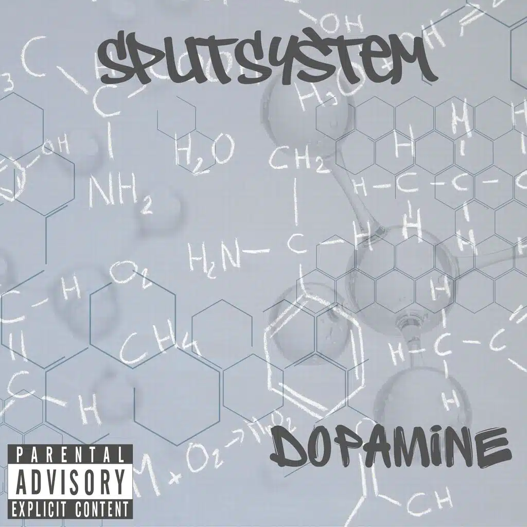 Split System