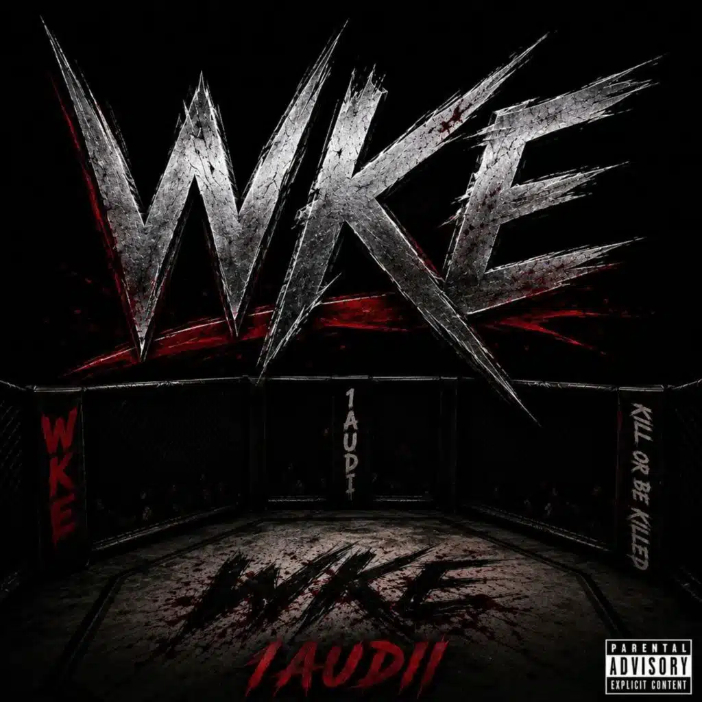1audii