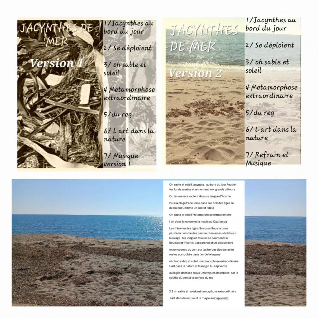Jacynthes De Mer