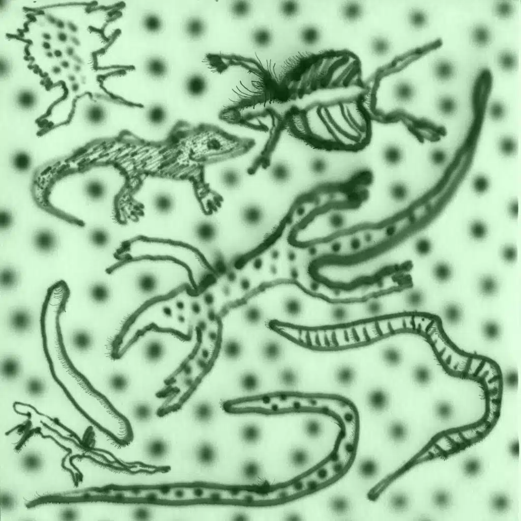List Of Lizards IV