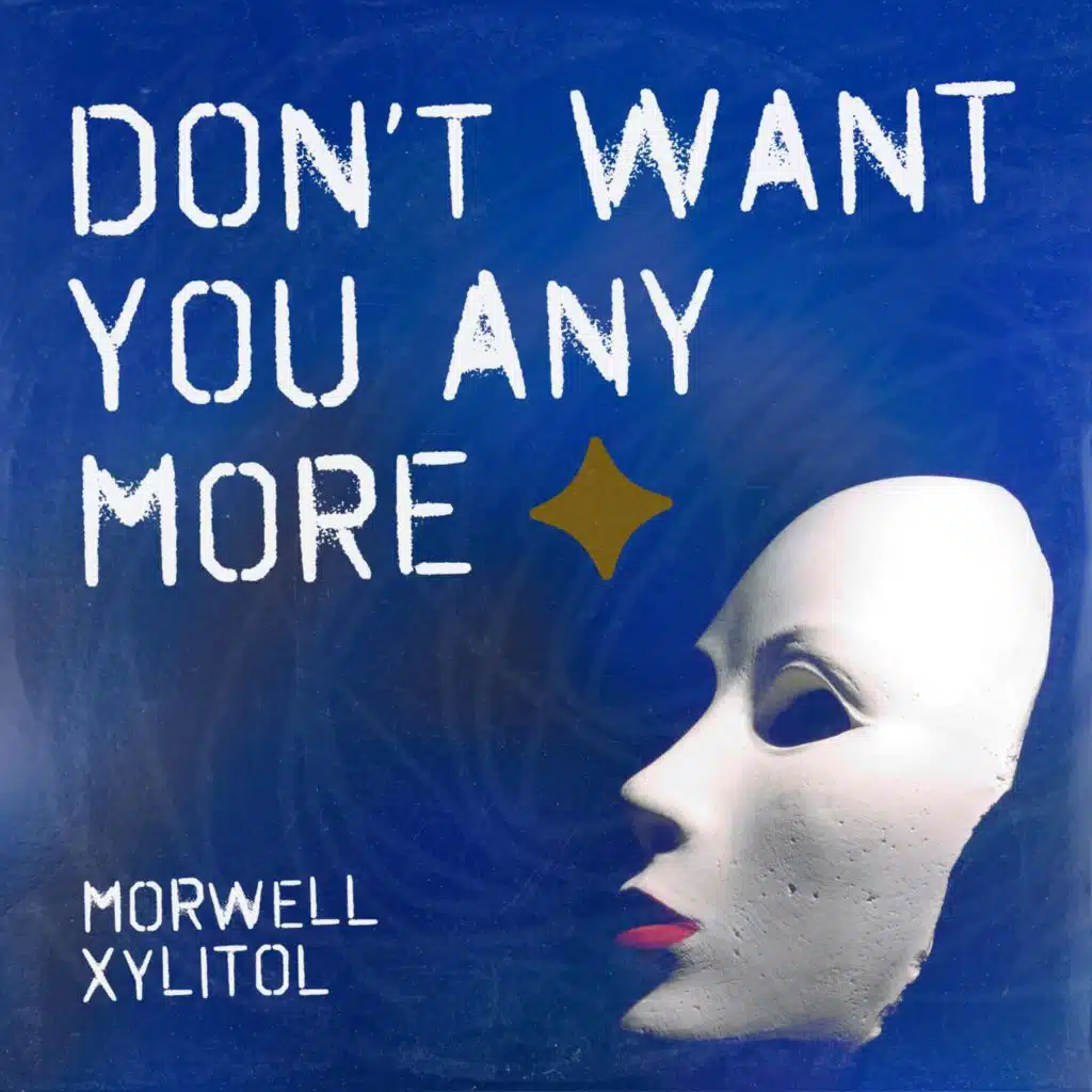 Don't Want You Any More (Xylitol Remix)