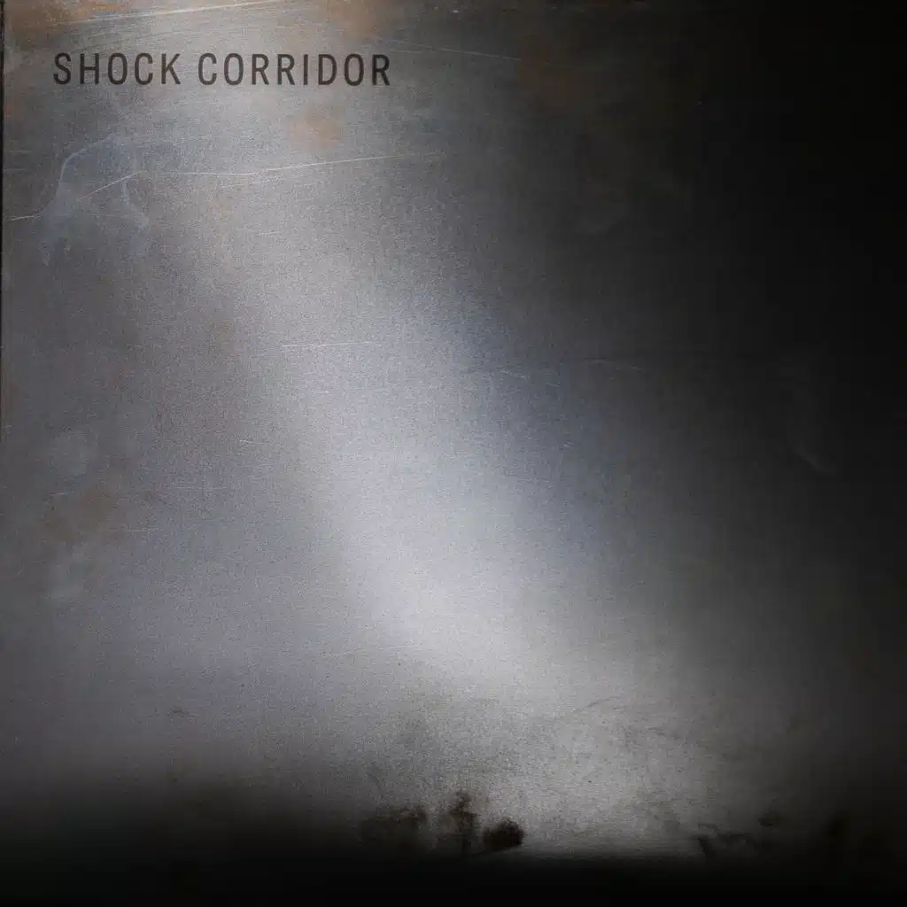 Shock Corridor