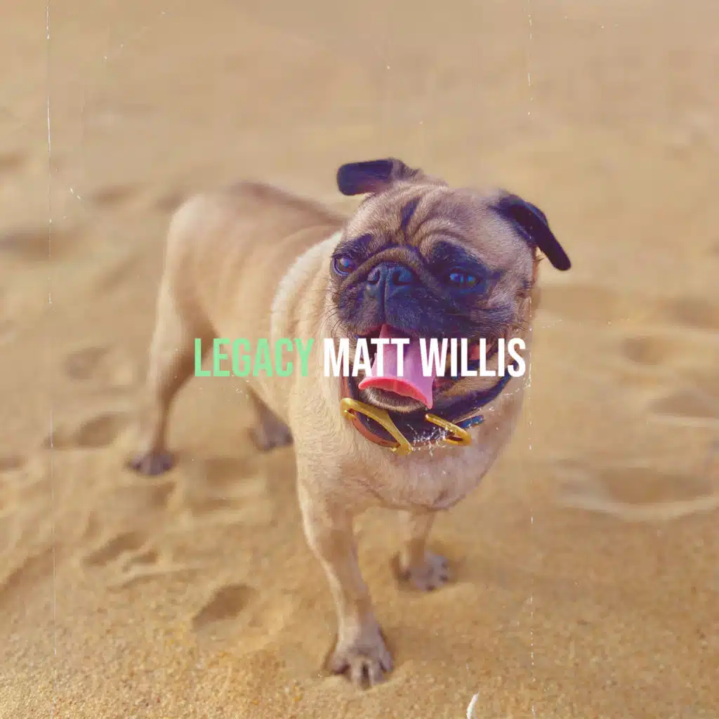 Matt Willis