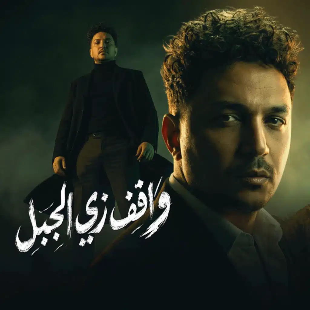 عمرو سلامة