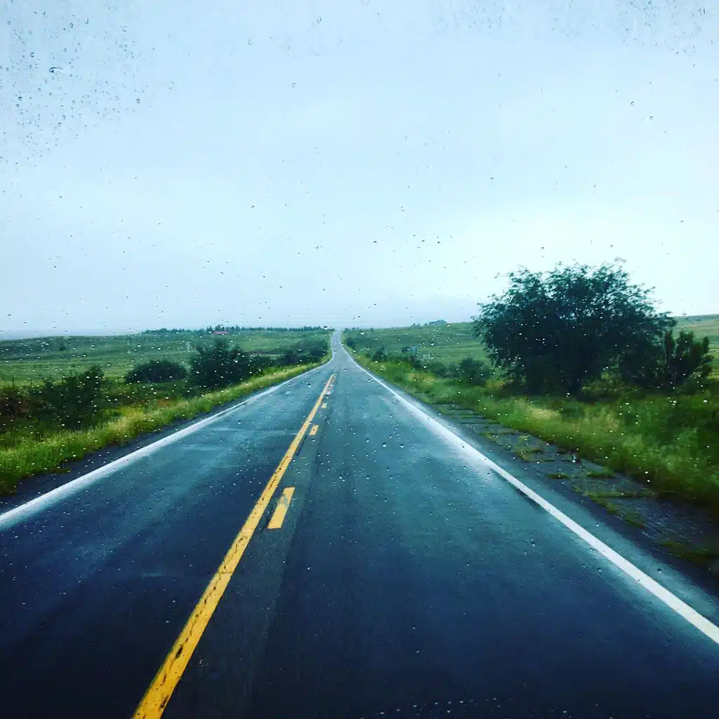 Songs For Seeing