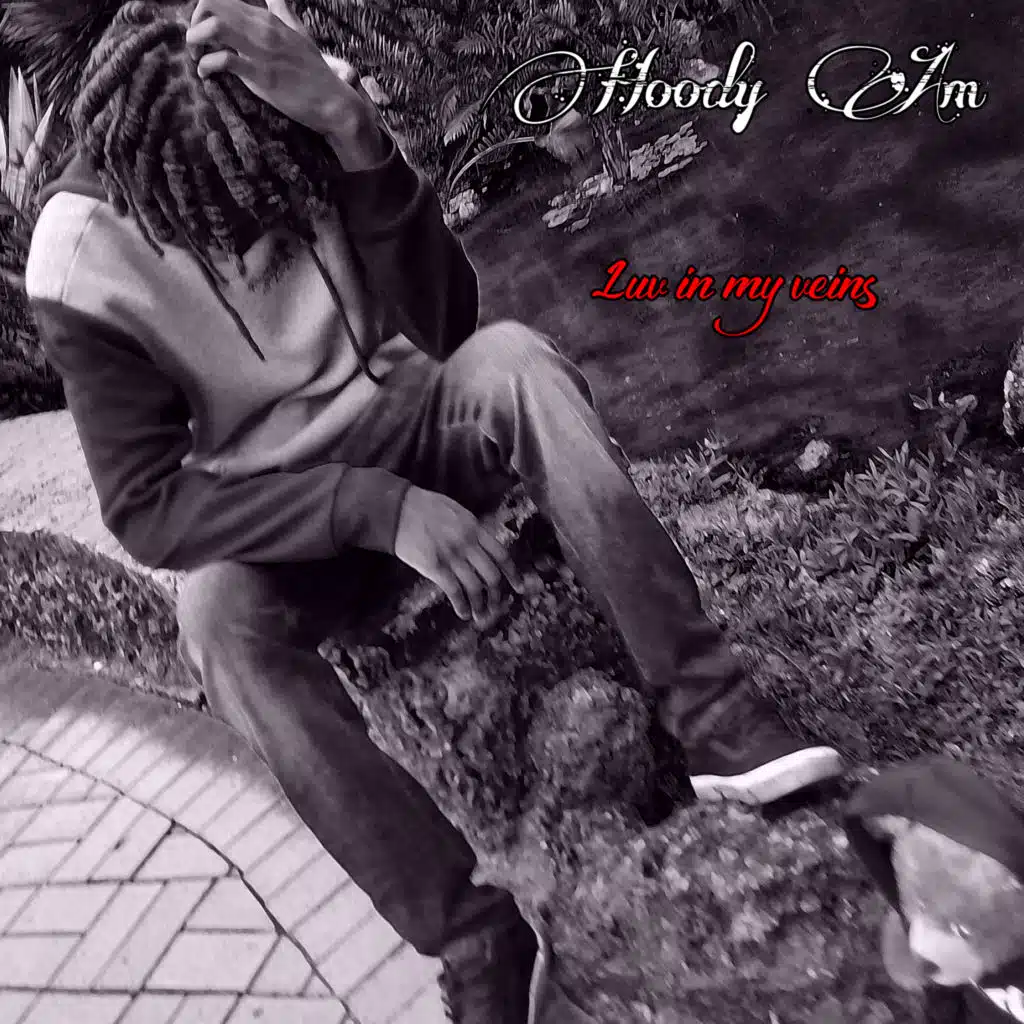 Hoody Am