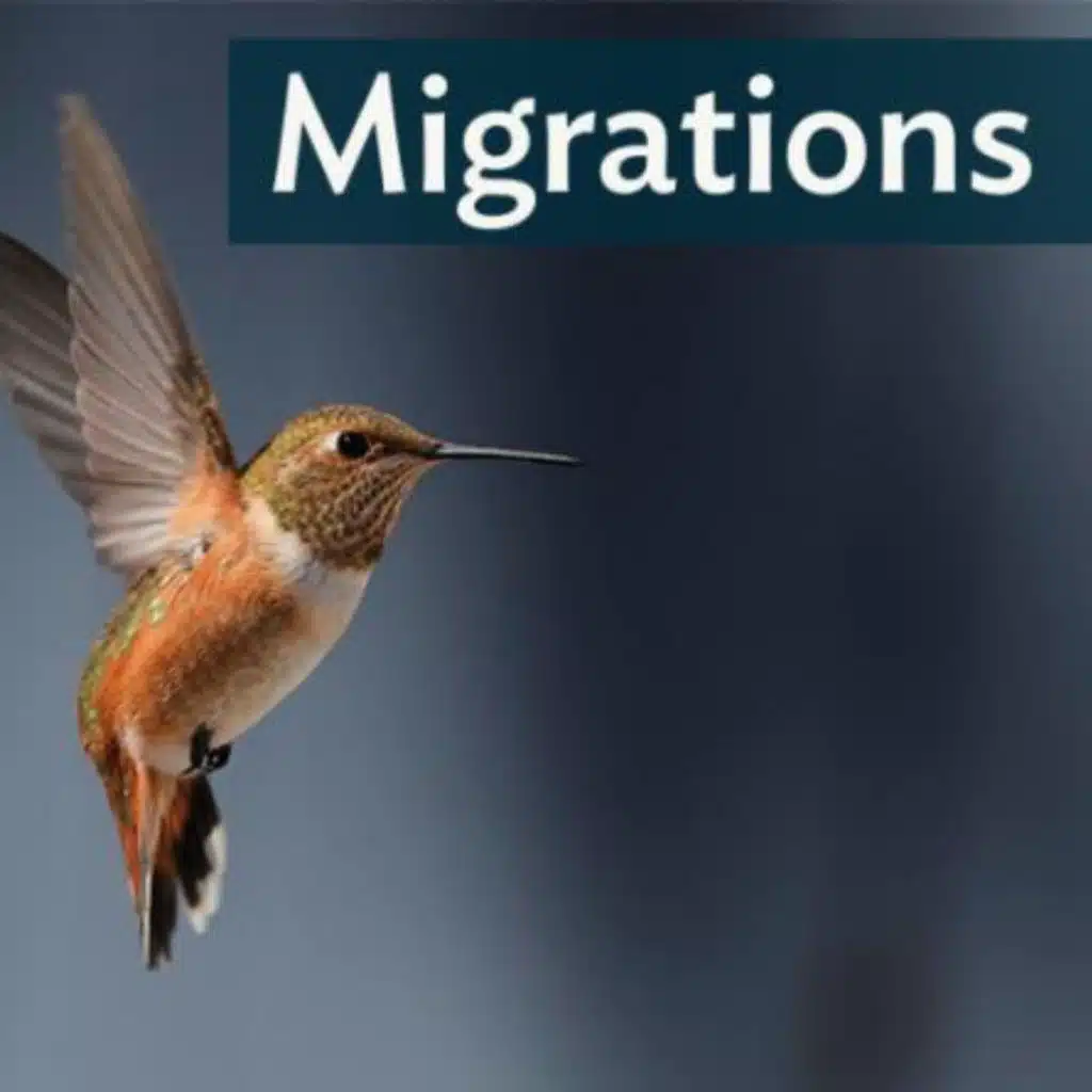 Migrations: Tiny Bird, Epic Journey