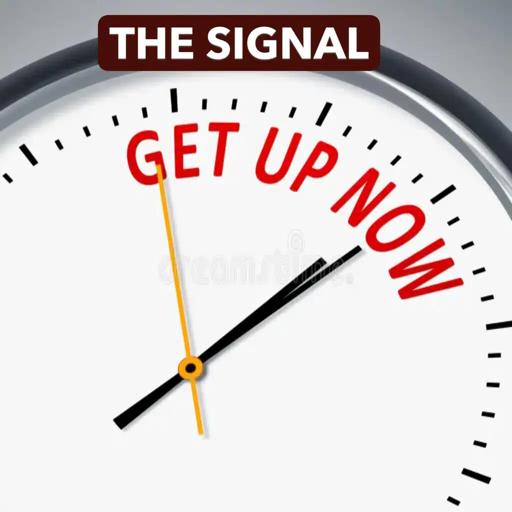 The Signal