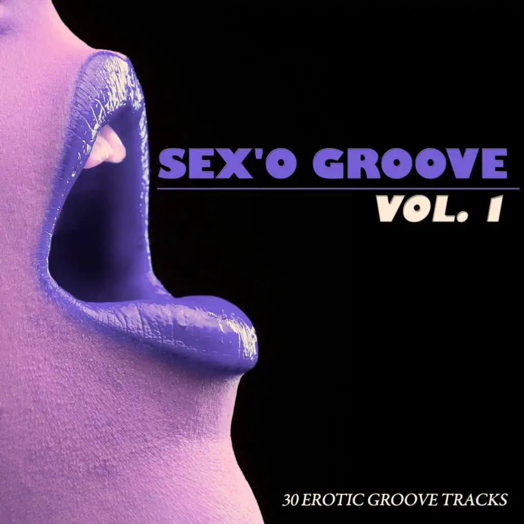 Sex'o Groove Vol. 1