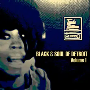 Black & Soul of Detroit, Volume 1