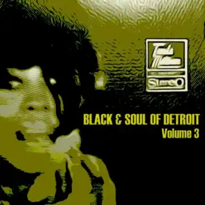 Black & Soul of Detroit, Volume 3