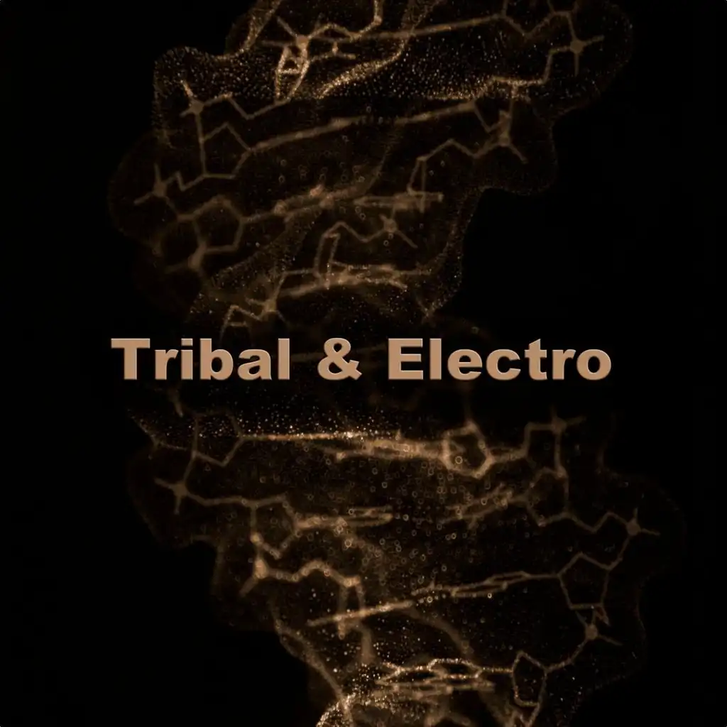 Djambaland (The Zulu Tribe Electro Mix)