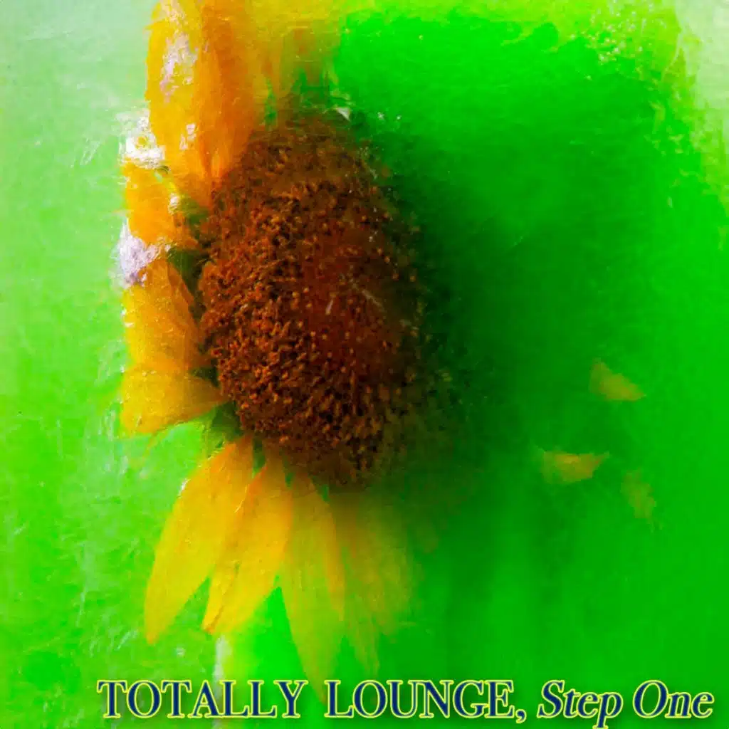 Totally Lounge, Step One - Totally Lounge Experience