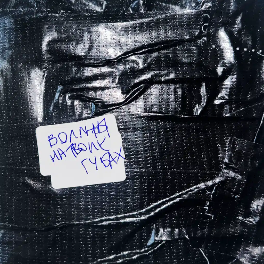 Воллны