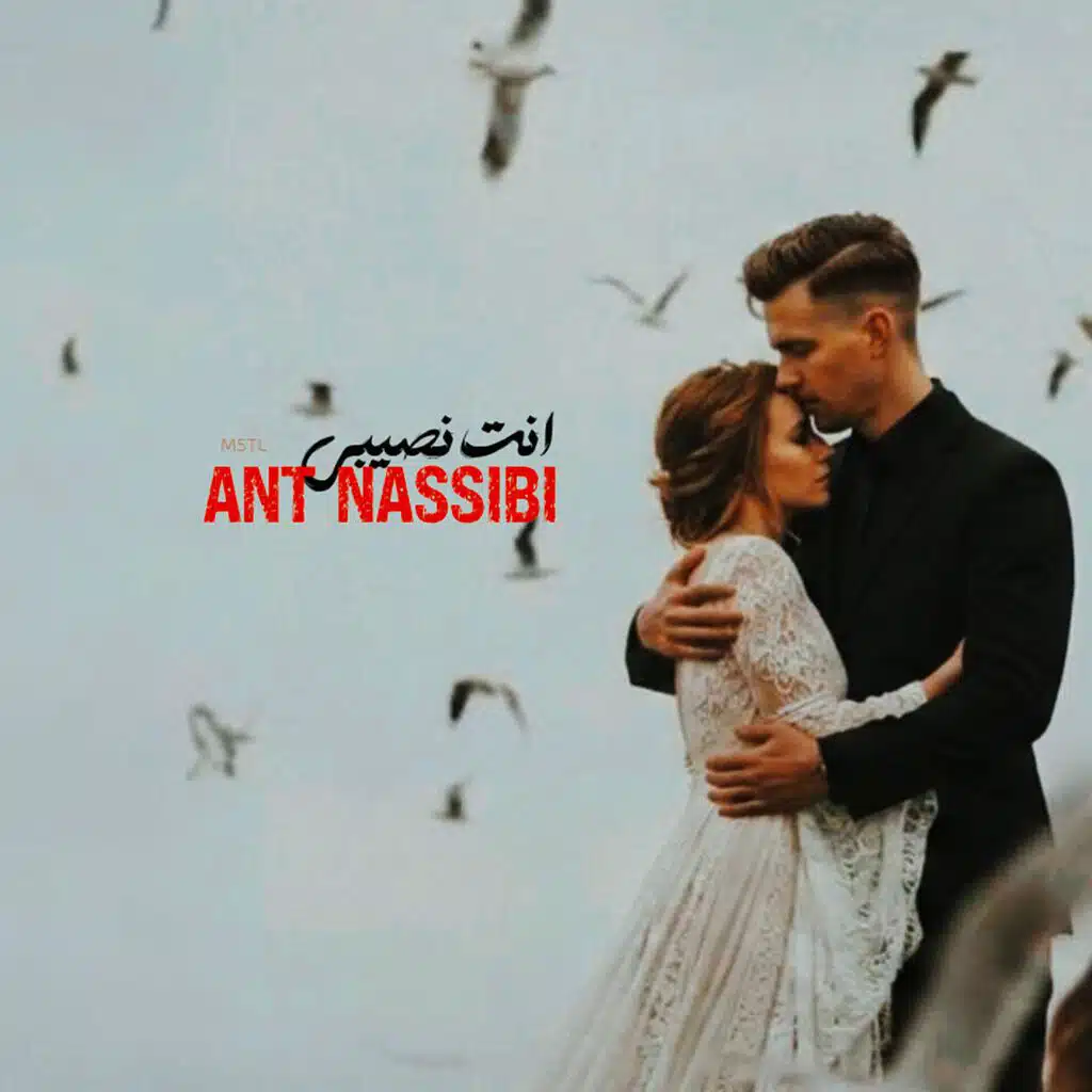 انت نصيبي | ANT NASSIBI