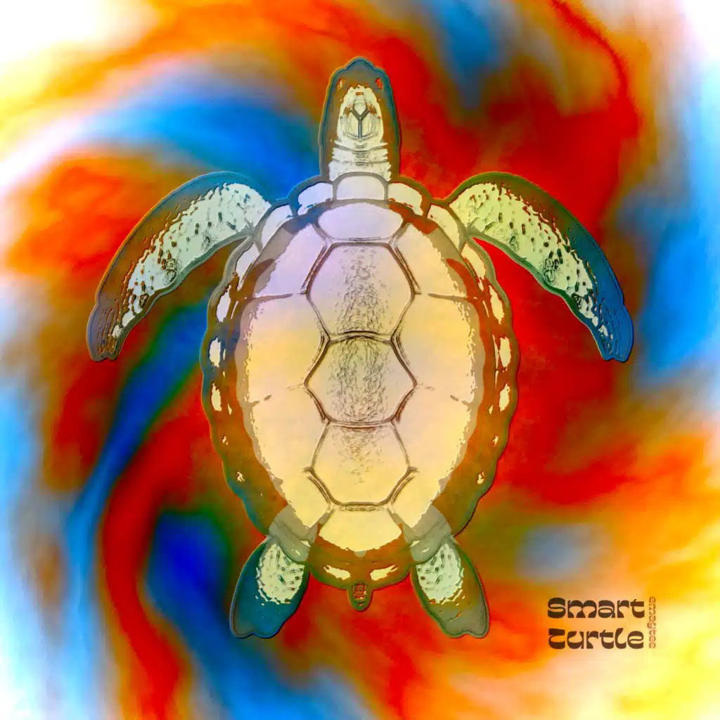 Smart Turtle