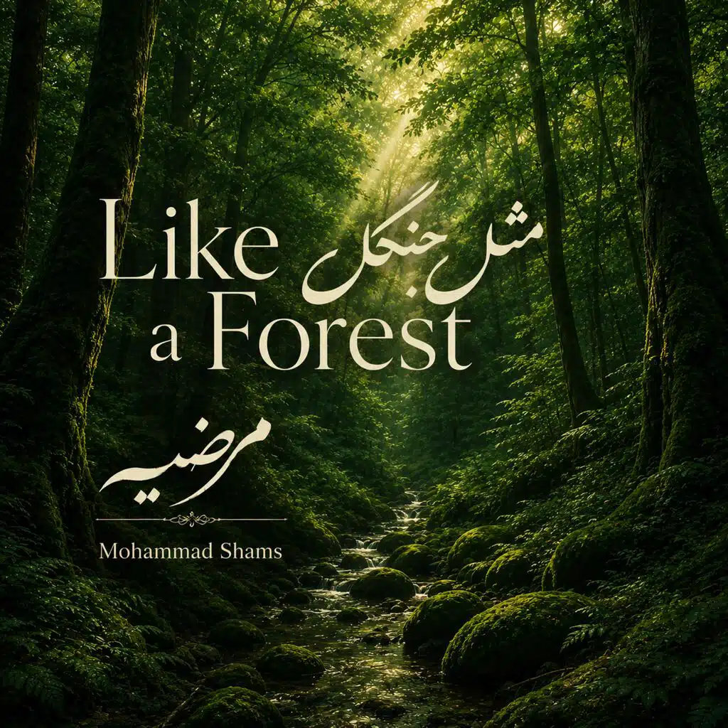 Mohammad Shams