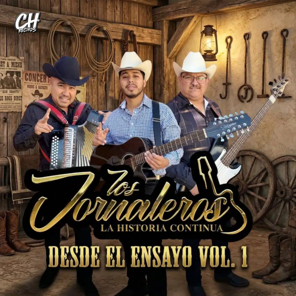 Desde el Ensayo Vol. 1