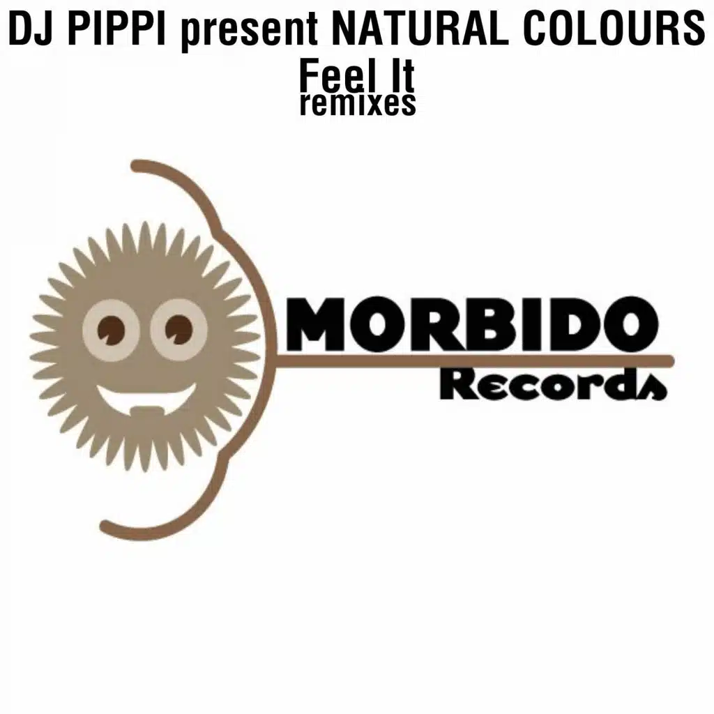 Feel it (Pleasure Team Perverse Remix) (Dj Pippi Presents Natural Colours)