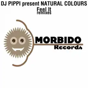 Feel it (Zuell Remix) (Dj Pippi Presents Natural Colours)