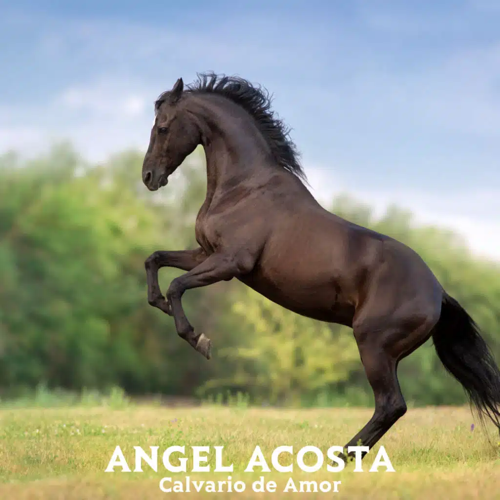 Angel Acosta