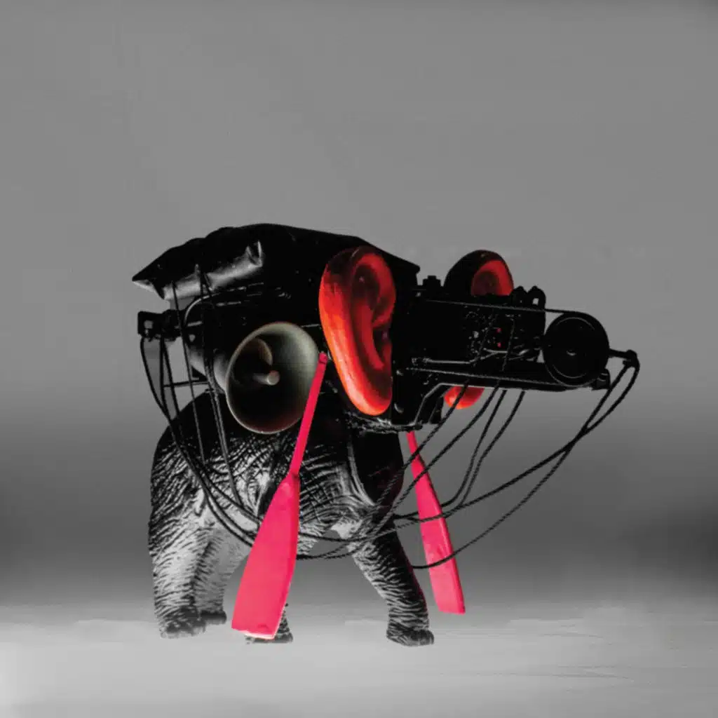 The Kick