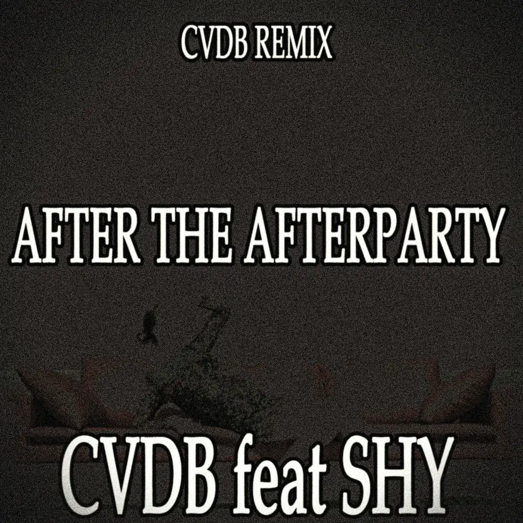 After the Afterparty (Cvdb Remix)