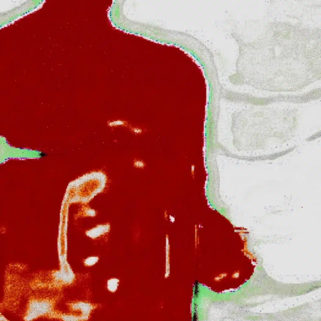 الكولونيل