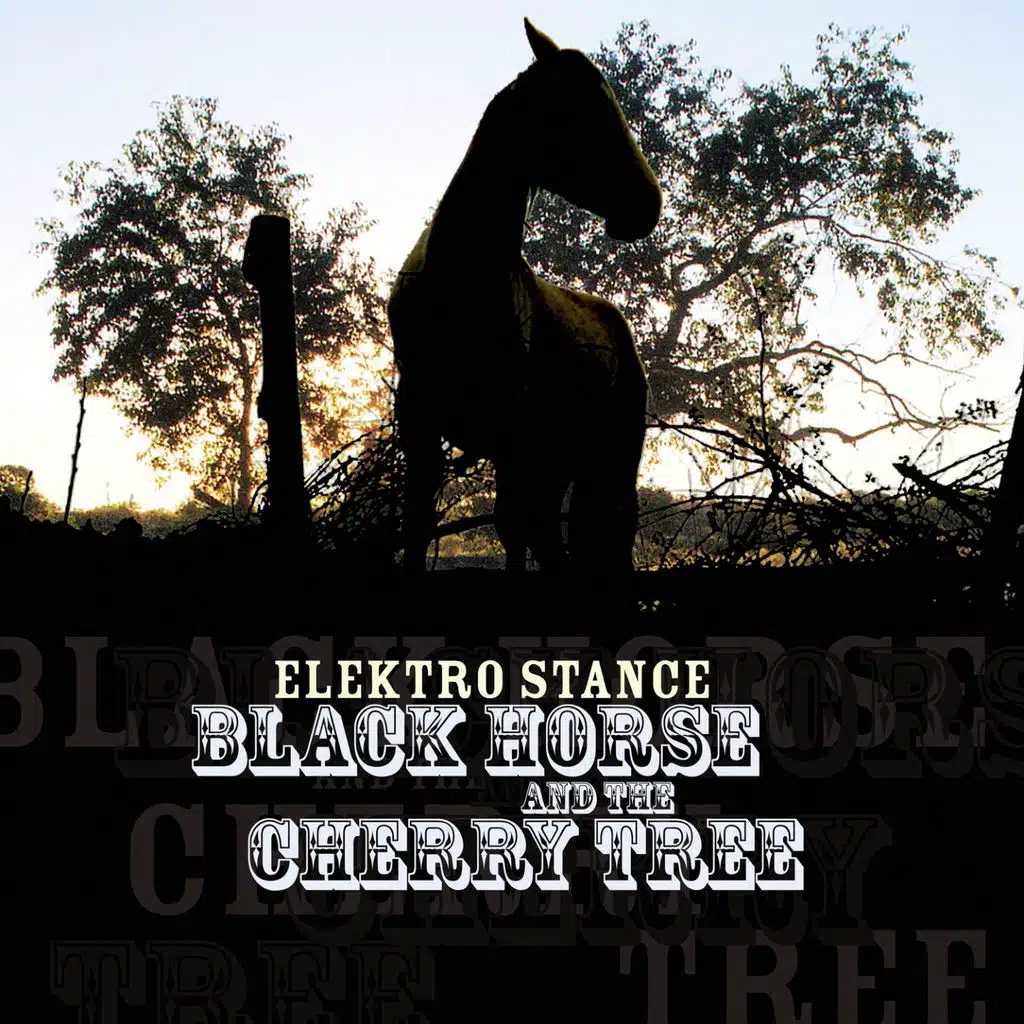 Black Horse and the Cherry Tree (Radio Mix)