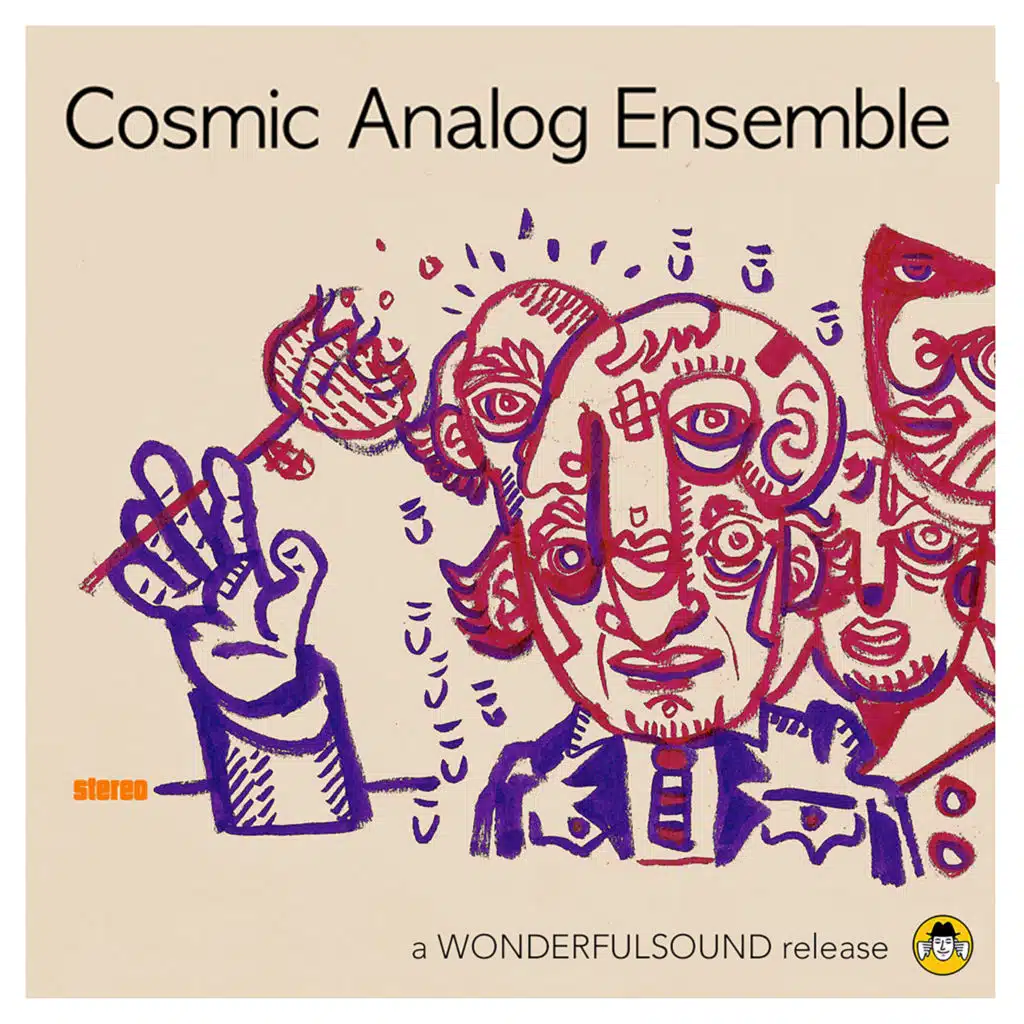 Cosmic Analog Ensemble