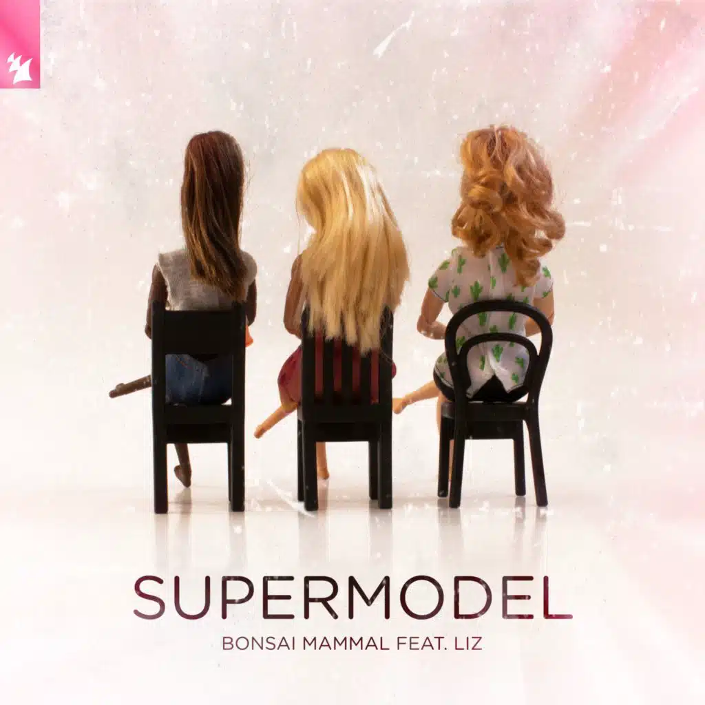 Supermodel (feat. LIZ)