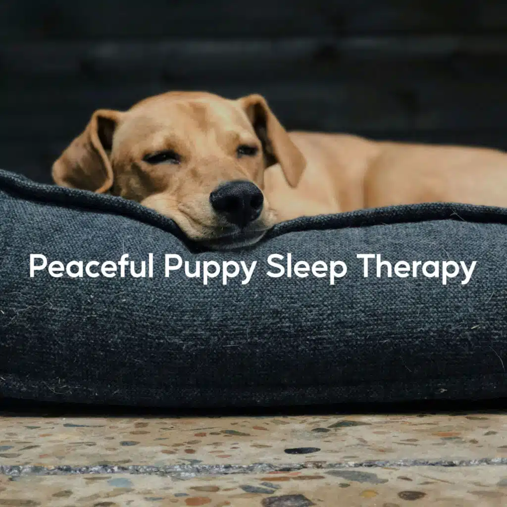 Peaceful Puppy Sleep Therapy