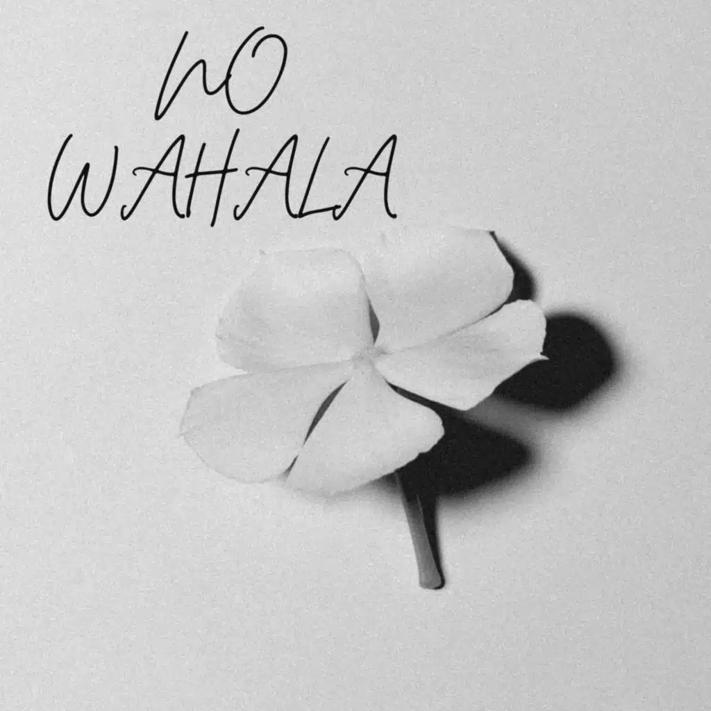 NO WAHALA